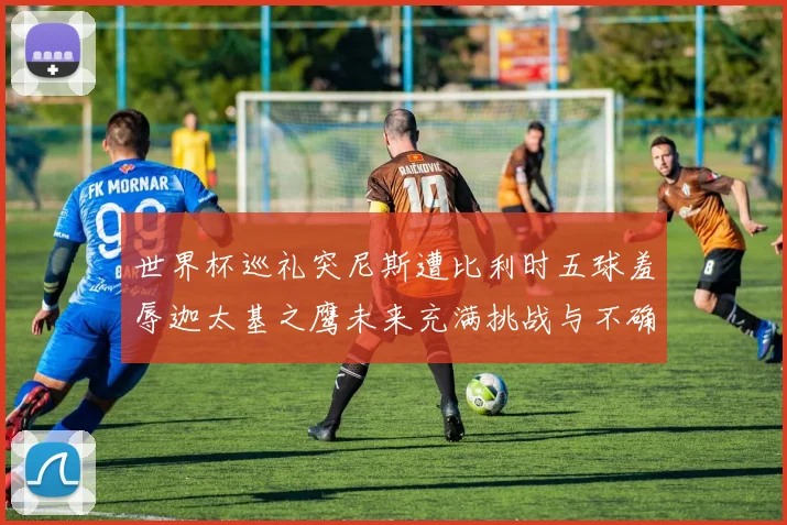 世界杯巡礼突尼斯遭比利时五球羞辱迦太基之鹰未来充满挑战与不确定性